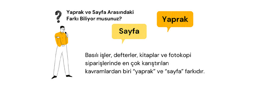 Yaprak ve Sayfa Arasındaki Fark Nedir?